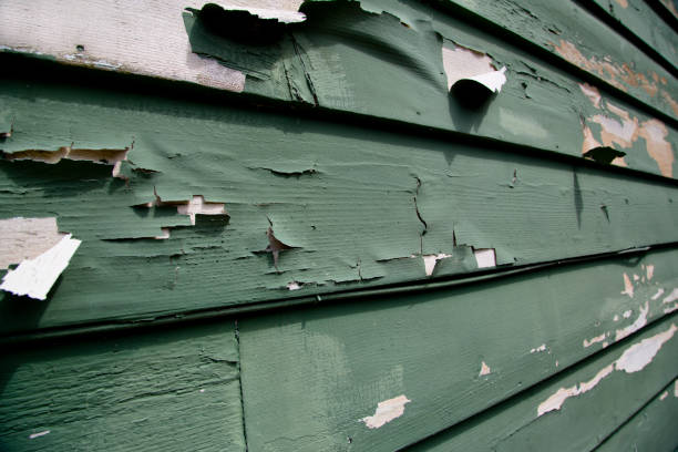  Loma Linda, CA Junk Removal Pros